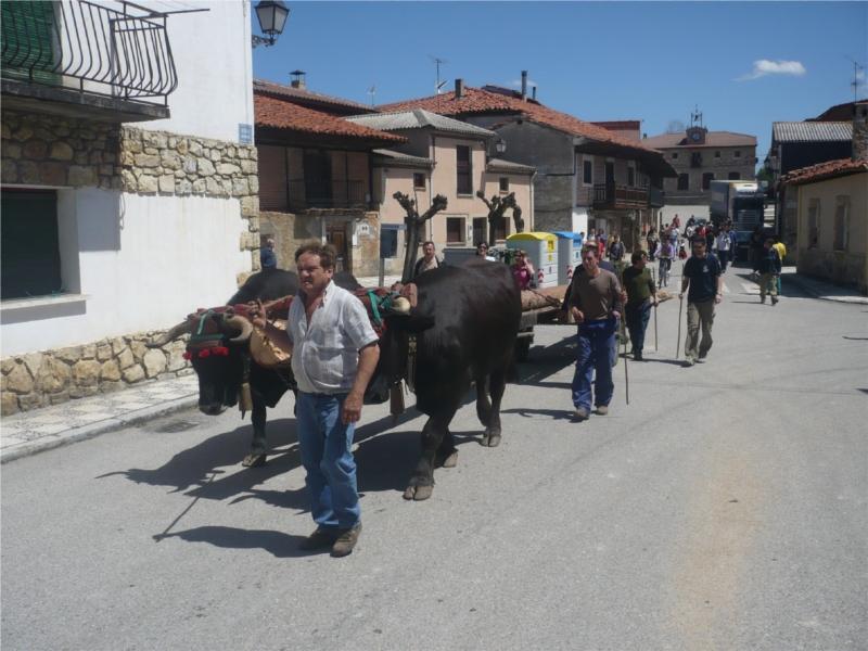 Fiestas y Cultura Ayuntamiento de Casarejos